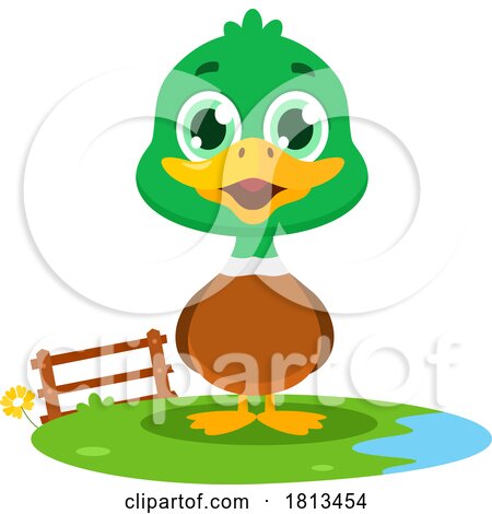 Mallard Duck Barnyard Animal Licensed Cartoon Clipart by Hit Toon