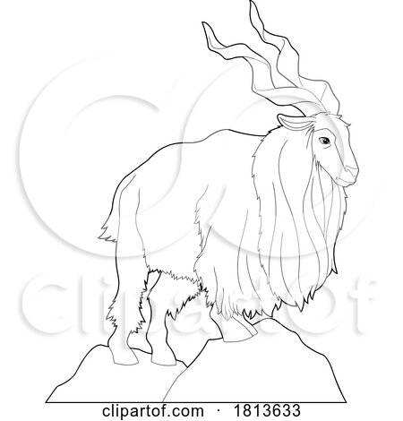 Markhor Licensed Black and White Cartoon Clipart by Hit Toon