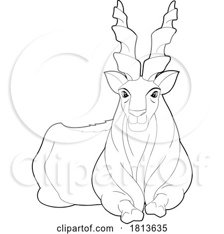 Markhor Licensed Black and White Cartoon Clipart by Hit Toon