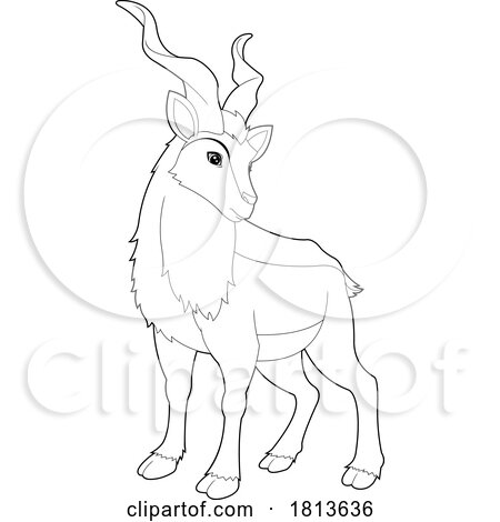 Markhor Licensed Black and White Cartoon Clipart by Hit Toon