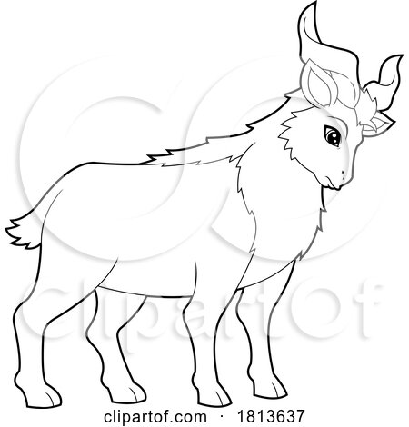 Markhor Licensed Black and White Cartoon Clipart by Hit Toon