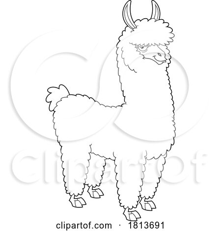 Llama Licensed Black and White Cartoon Clipart by Hit Toon