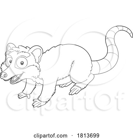 Opossum Licensed Black and White Cartoon Clipart by Hit Toon