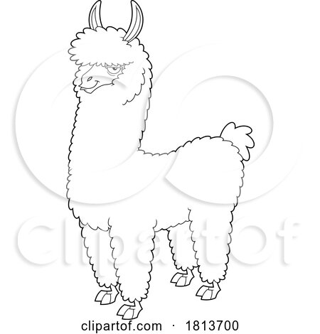 Llama Licensed Black and White Cartoon Clipart by Hit Toon