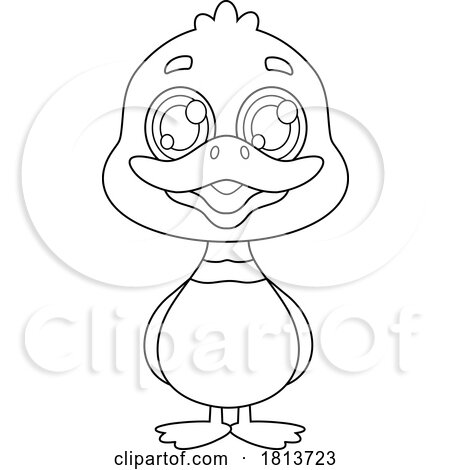 Mallard Duck Barnyard Animal Licensed Black and White Cartoon Clipart by Hit Toon