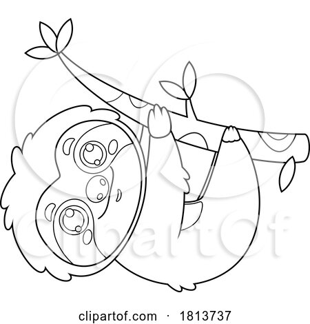 Sloth Hanging on a Branch Licensed Black and White Cartoon Clipart by Hit Toon