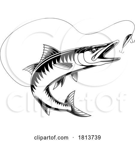 Barracuda Chasing a Lure Licensed Cartoon Clipart by Hit Toon