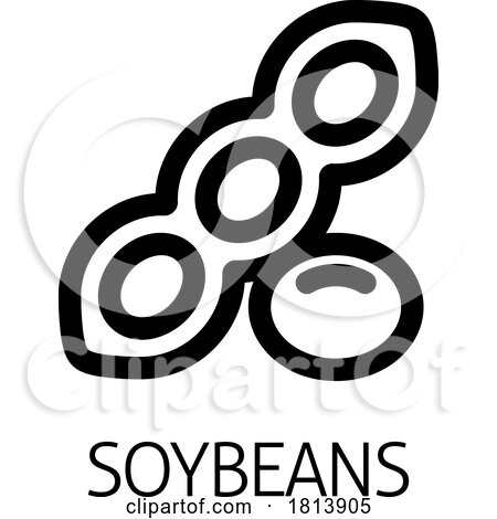 A Soybean Soy Bean Food Allergen Icon Concept by AtStockIllustration