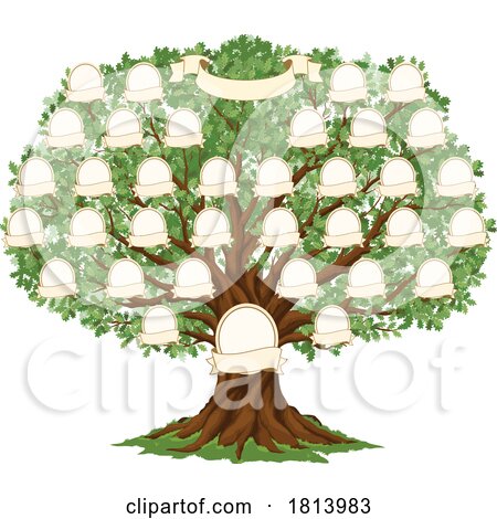 Ancestral Tree Licensed Stock Image by Vector Tradition SM