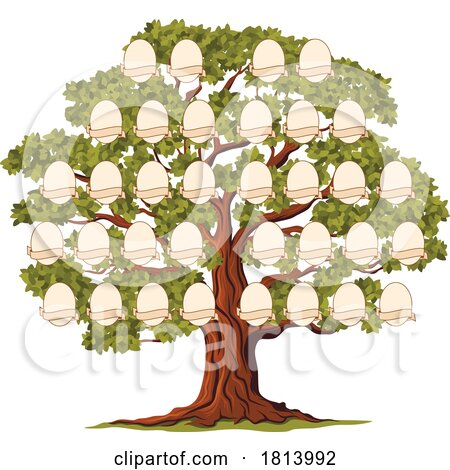 Ancestral Tree Licensed Stock Image by Vector Tradition SM