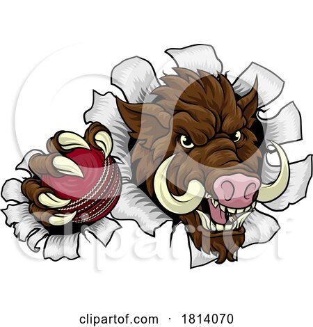 Boar Wild Hog Razorback Warthog Pig Cricket Mascot by AtStockIllustration