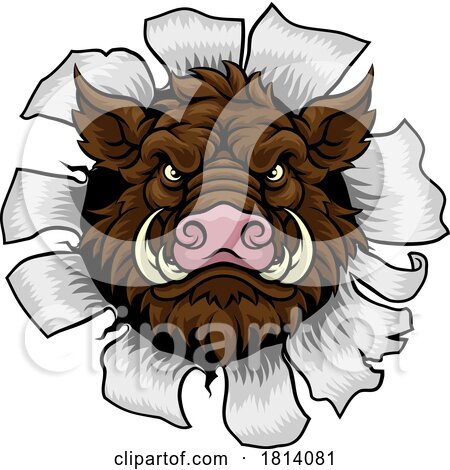 Boar Wild Hog Razorback Warthog Pig Sports Mascot by AtStockIllustration