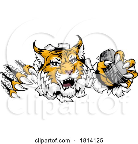 Wildcat Bobcat Ice Hockey Team Cartoon Mascot by AtStockIllustration