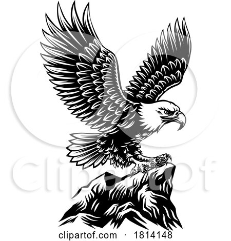 Bald Eagle Mascot Bird Wings Spread Flying by AtStockIllustration