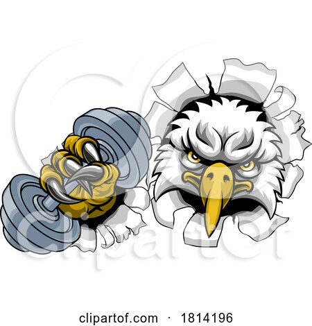 Eagle Hawk Bird Weight Lifting Dumbbell Gym Mascot by AtStockIllustration