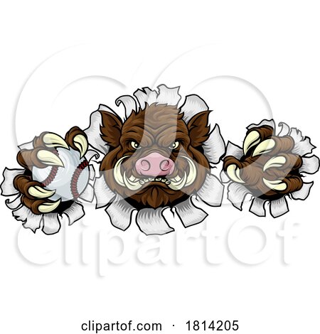 Boar Wild Hog Razorback Warthog Baseball Mascot by AtStockIllustration