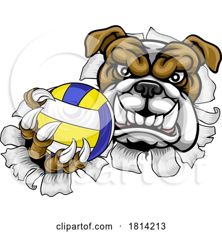 Bulldog Dog Volleyball Volley Ball Animal Mascot by AtStockIllustration