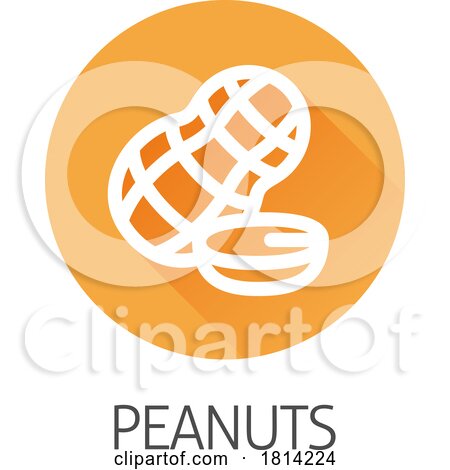 Peanut Nut Food Allergy Icon Concept by AtStockIllustration