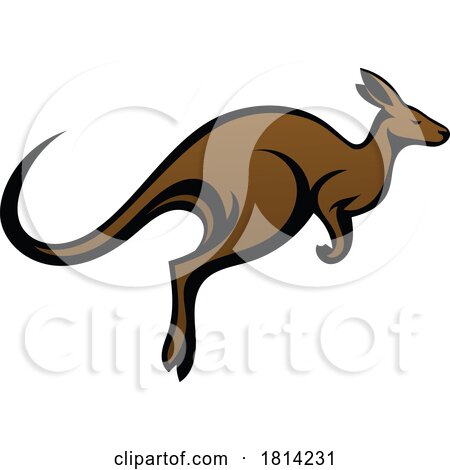 Kangaroo Australian Animal Design Mascot Icon by AtStockIllustration