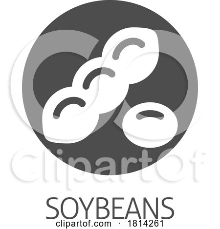 A Soybean Soy Bean Food Allergen Icon Concept by AtStockIllustration