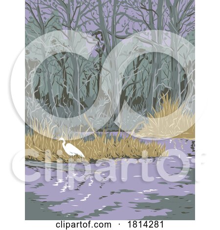 Great Egret in Jean Lafitte National Historical Park Louisiana WPA Poster Art by patrimonio