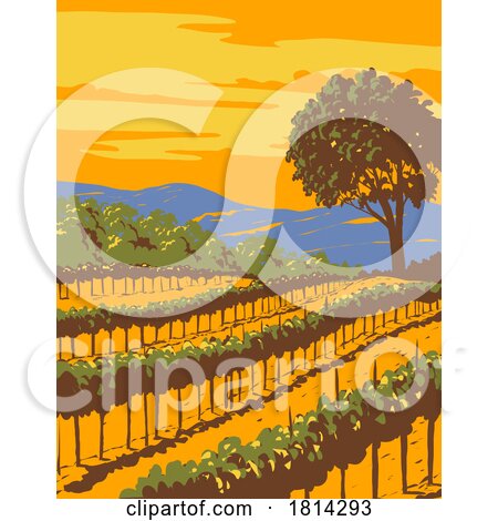 Vineyard in Sonoma Valley Wine Region Northern California WPA Poster Art by patrimonio