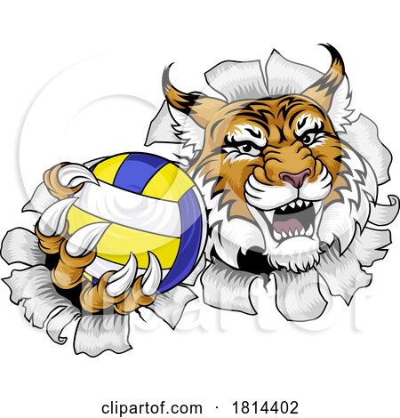 Wildcat Cougar Lynx Lion Volleyball Claw Mascot by AtStockIllustration