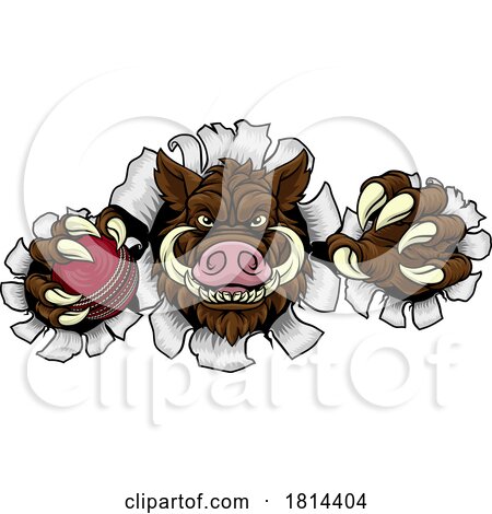 Boar Wild Hog Razorback Warthog Pig Cricket Mascot by AtStockIllustration