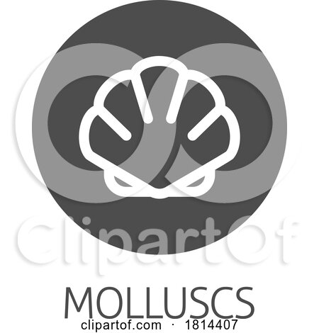 Seashell Shell Clam Mollusc Seafood Food Icon by AtStockIllustration