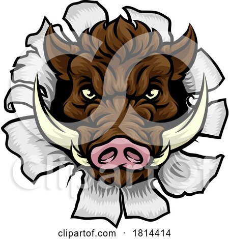 Boar Wild Hog Razorback Warthog Pig Sports Mascot by AtStockIllustration