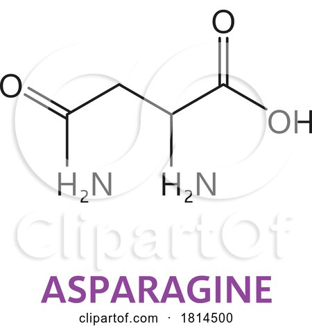 Asparagine Essential Chain Structure by Vector Tradition SM