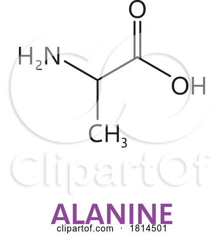 Essential Chain Structure CH3CHNH2COOH Alanine Amino Acid by Vector Tradition SM