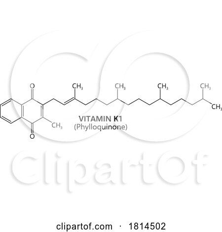 Vitamin K1 Phylloquinone Formula C31h46o2 by Vector Tradition SM