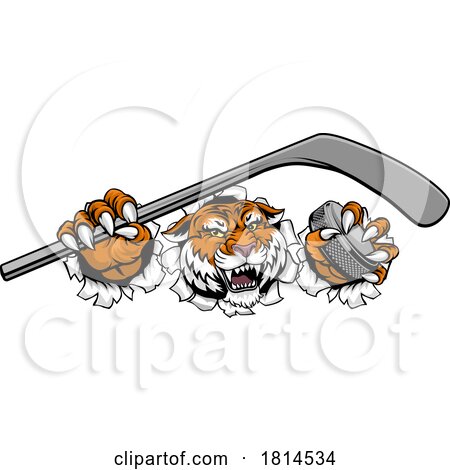 Tiger Ice Hockey Team Sports Cartoon Mascot by AtStockIllustration