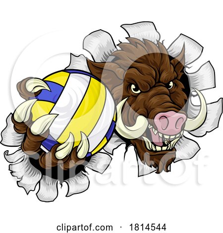 Boar Razorback Hog Volleyball Volley Ball Mascot by AtStockIllustration