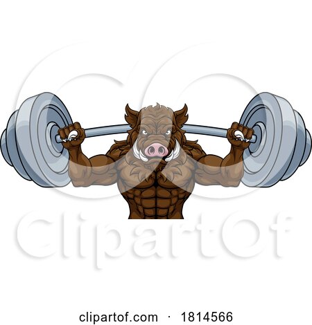 Boar Razorback Hog Weight Lifting Gym Mascot by AtStockIllustration