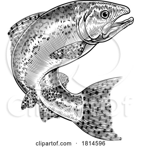 Salmon Fish Vintage Etched Woodcut Fishing Concept by AtStockIllustration