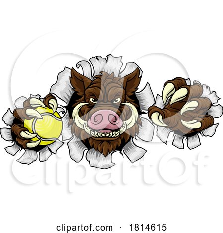 Boar Wild Hog Razorback Warthog Pig Tennis Mascot by AtStockIllustration