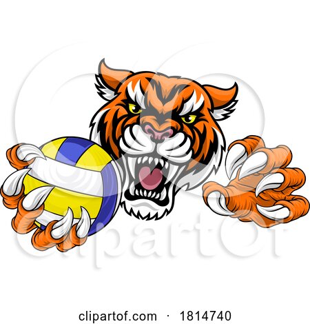 Tiger Volleyball Volley Ball Animal Sports Mascot by AtStockIllustration