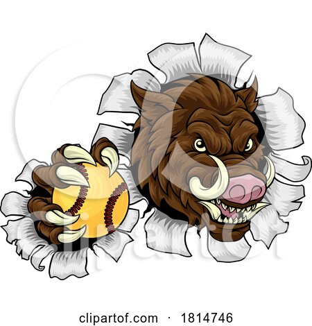 Boar Wild Hog Razorback Warthog Softball Mascot by AtStockIllustration