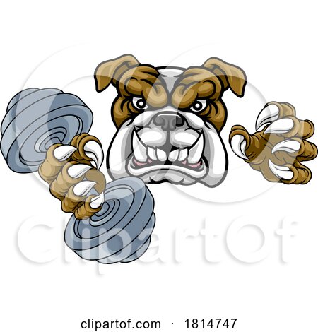 Bulldog Dog Weight Lifting Dumbbell Gym Mascot by AtStockIllustration