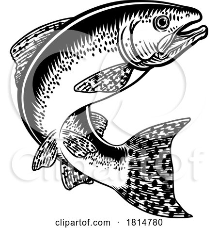 Salmon Fish Vintage Etched Woodcut Fishing Concept by AtStockIllustration