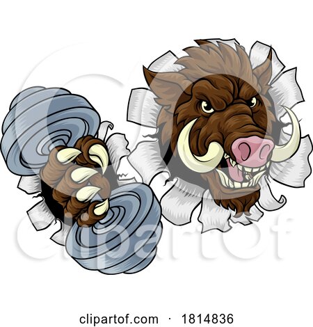 Boar Wild Razorback Warthog Weight Lifting Mascot by AtStockIllustration