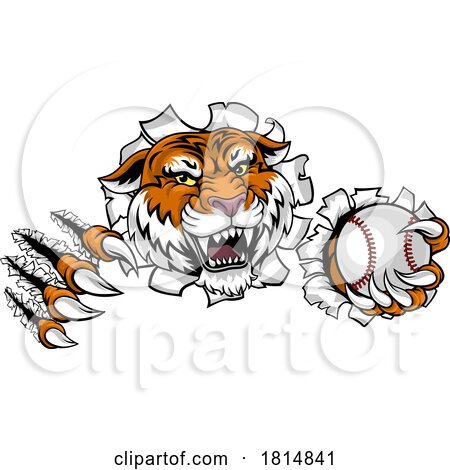 Tiger Baseball Ball Animal Sports Team Mascot by AtStockIllustration