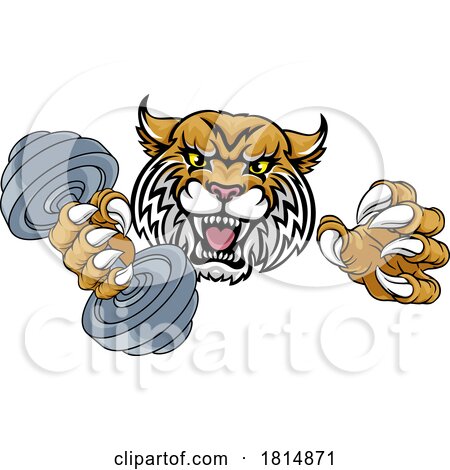 Wildcat Cougar Lynx Lion Weight Lifting Gym Mascot by AtStockIllustration