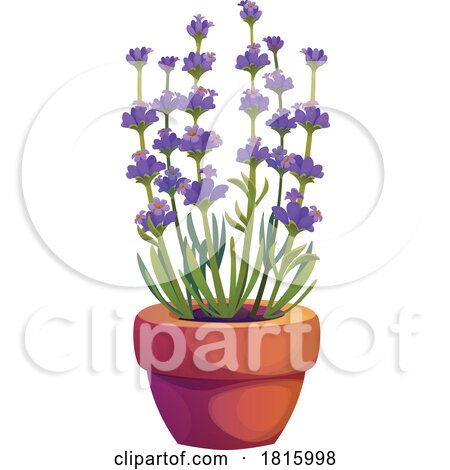 Lavender Plant Clipart by Vector Tradition SM