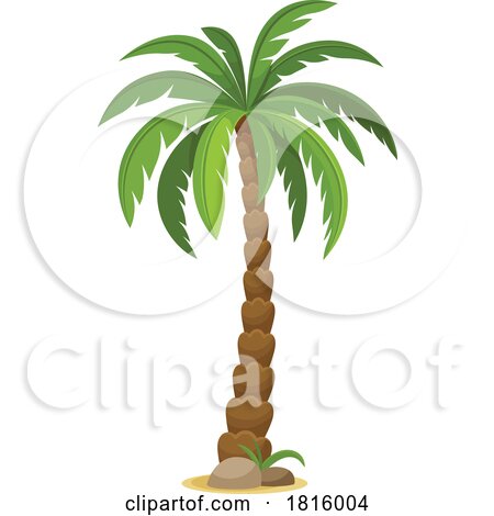 Palm Tree Clipart by Vector Tradition SM