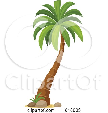 Palm Tree Clipart by Vector Tradition SM