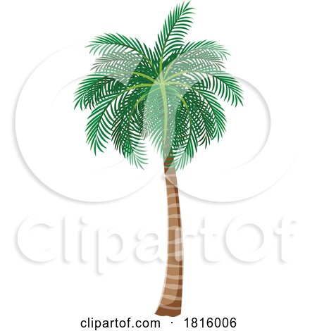 Palm Tree Clipart by Vector Tradition SM