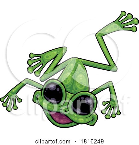 Cartoon Big Eyed Green Tree Frog Licensed Clipart by John Schwegel